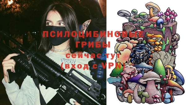 тгк Осинники