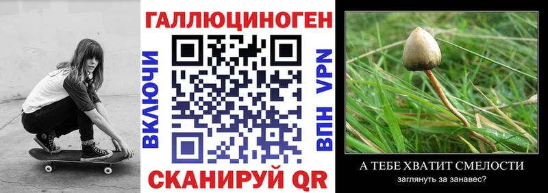 дарк нет наркотические препараты Агидель Псилоцибиновые грибы мицелий ссылка на мегу зеркало